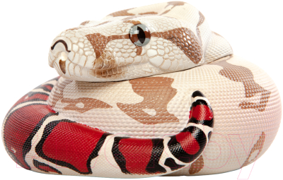 Фигурка коллекционная Exoprima Питон / 56355/AH