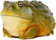 Фигурка коллекционная Exoprima Роющая лягушка / 56340/AH (темно-зеленый) - 