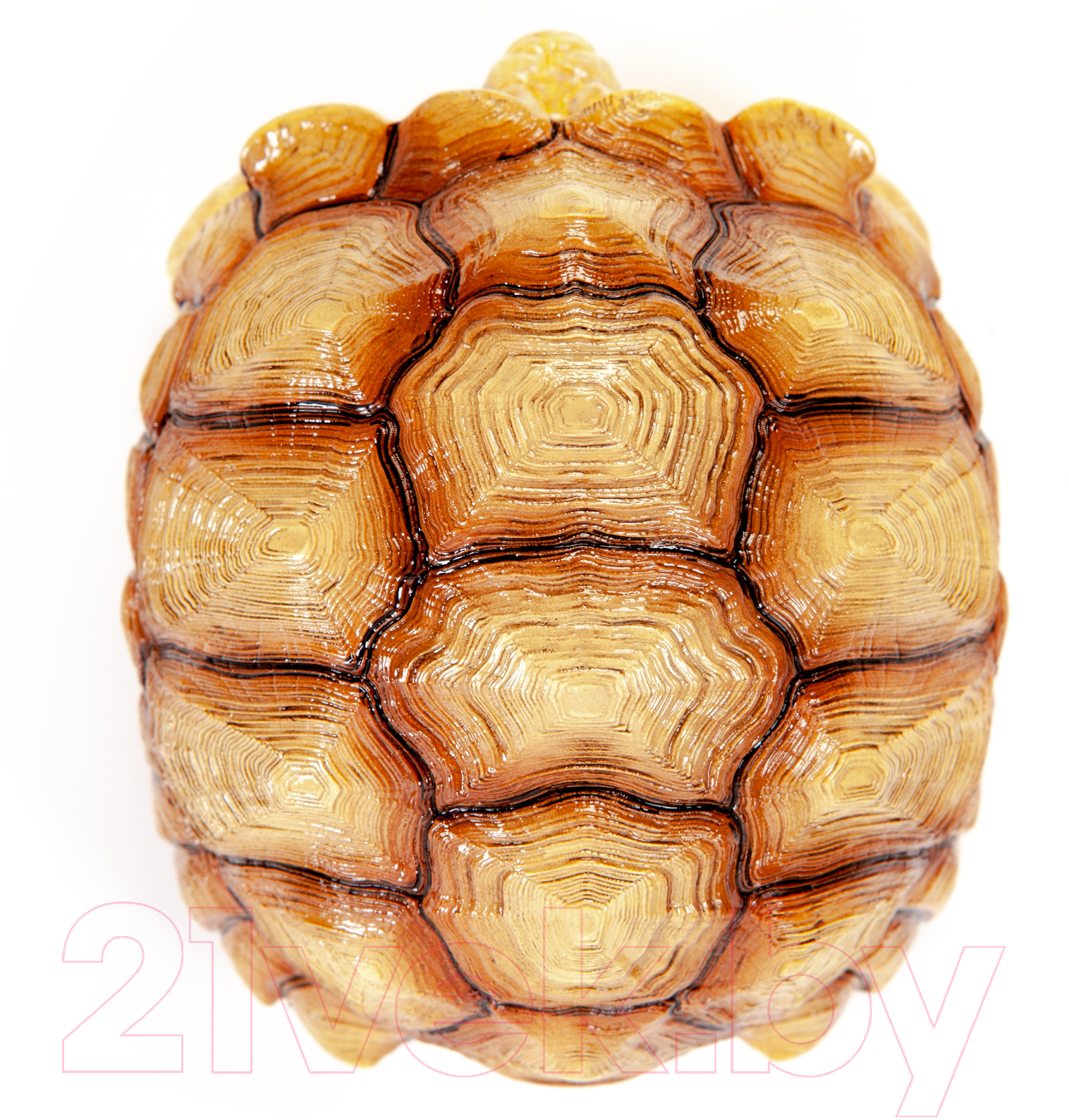 Фигурка коллекционная Exoprima Шпороносная черепаха голова в панцыре / 56328/AH