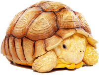 Фигурка коллекционная Exoprima Шпороносная черепаха голова в панцыре / 56328/AH (светло-коричневый) - 