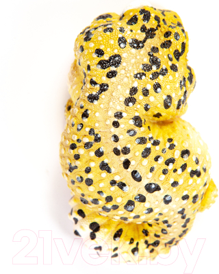 Фигурка коллекционная Exoprima Эублефар / 26351/AH (желтый/коричневый)