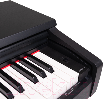 Цифровое фортепиано Rockdale Arietta Black / A159362 (черный)