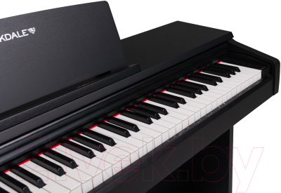 Цифровое фортепиано Rockdale Arietta Black / A159362 (черный)