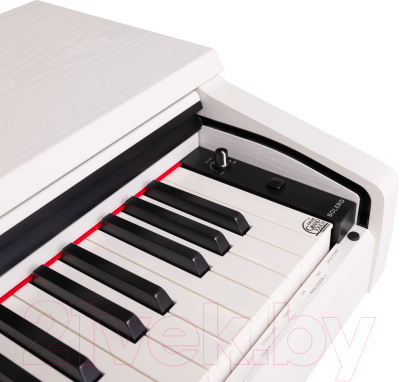Цифровое фортепиано Rockdale Bolero White / A159365 (белый)
