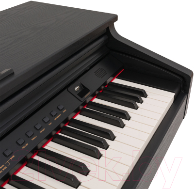 Цифровое фортепиано Rockdale Fantasia 128 Graded Black / A164084 (черный)