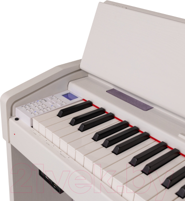Цифровое фортепиано Rockdale Rondo White / A159366 (белый)