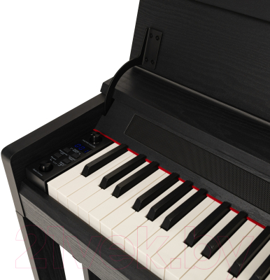 Цифровое фортепиано Rockdale Virtuoso Black / A172231 (черный)