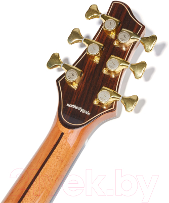 Акустическая гитара NG AM411SC NA (натуральный)
