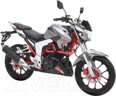 Мотоцикл Regulmoto Raptor New SK250-5 / 13373 (серый)