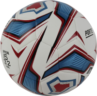 Футбольный мяч Ingame Porte IFB-226 (белый/серый) - 