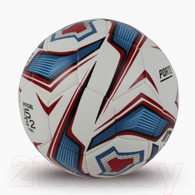 Футбольный мяч Ingame Porte IFB-226 (белый/серый)