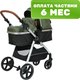 Детская универсальная коляска Tomix Sunny 3 в 1 / 619C (Dark Olive) - 