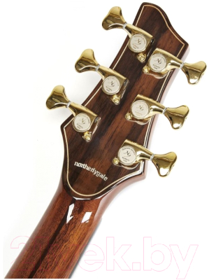 Акустическая гитара NG AM411SC Peach (санберст)