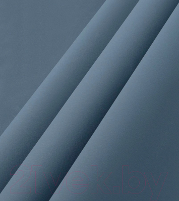 Рулонная штора LEGRAND Мона 66x175 / 58127738 (синий)