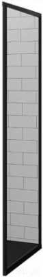 Душевая стенка RGW Z-05 Easy / 32220570-14 (70x195, прозрачное стекло/черный)