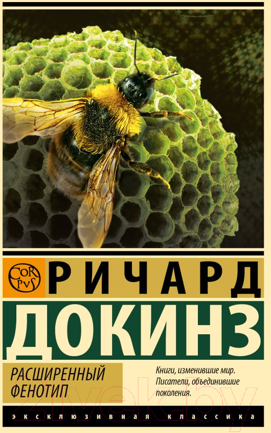 Нехудожественная книга АСТ Расширенный фенотип / 9785171624477 (Докинз Р.)