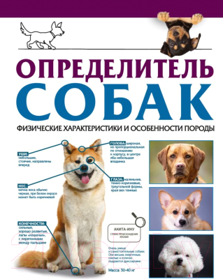 Книга АСТ Определитель собак / 9785171567545 (Барановская И.Г.)