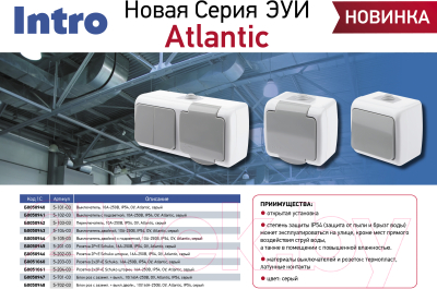 Блок выключатель+розетка INTRO Atlantic 5-701-03 / Б0050947 (серый)