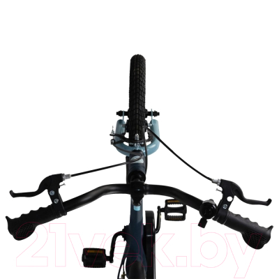 Детский велосипед Maxiscoo Space Стандарт Плюс 2024 / MSC-S1431 (матовый ультрамарин)