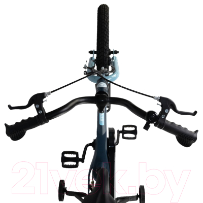 Детский велосипед Maxiscoo Space Стандарт 2024 / MSC-S1631 (матовый ультрамарин)