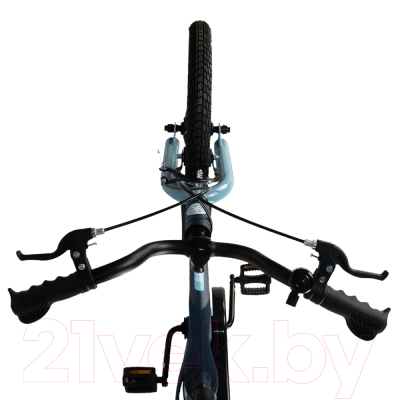 Детский велосипед Maxiscoo Space Стандарт 2024 / MSC-S1831 (матовый ультрамарин)