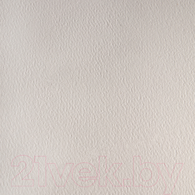 Набор бумаги для рисования Малевичъ Monet. Fin / 402225 (10л)