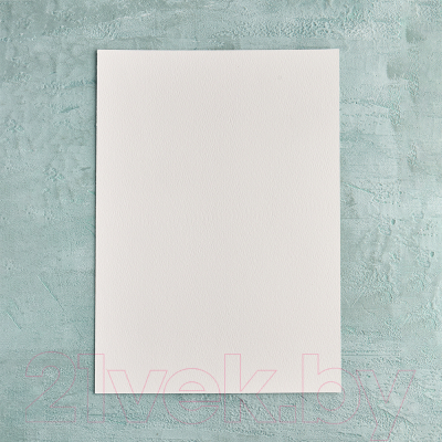 Набор бумаги для рисования Малевичъ Monet. Fin / 402228 (50л)