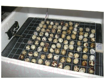 Решетка для инкубатора Несушка Большая на 36 яйца (78 ячеек № 3)