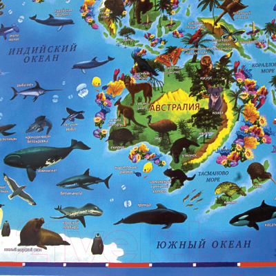 Настенная карта Юнландия Животный и растительный мир / 112373