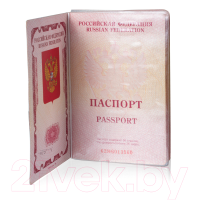 Набор файлов на страницы паспорта Staff 237596 (60шт)
