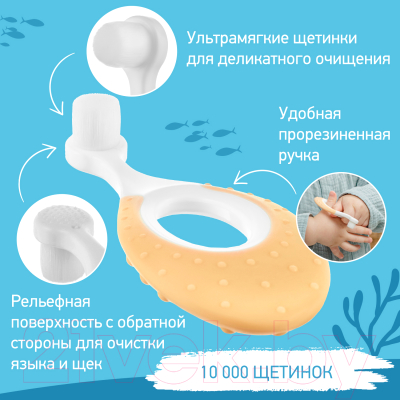 Набор зубных щеток ROXY-KIDS Морской конек / RTB-012-OM (оранжевый/мятный)