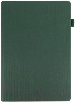 Ежедневник Darvish DV-14815C (180л, зеленый)
