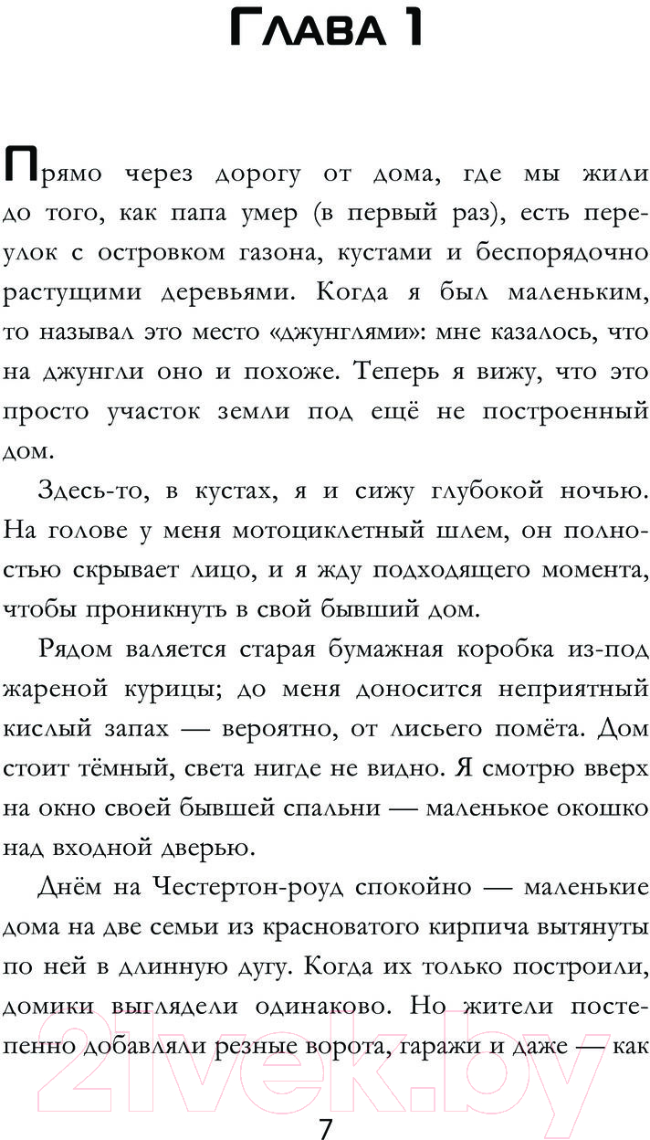 Художественная книга АСТ Путешествие во времени с хомяком / 9785171601676 (Уэлфорд Р.) — фото 3