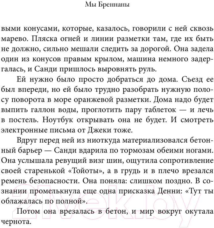 Художественная книга АСТ Мы Бреннаны / 9785171510565 (Лендж Т.) — фото 5
