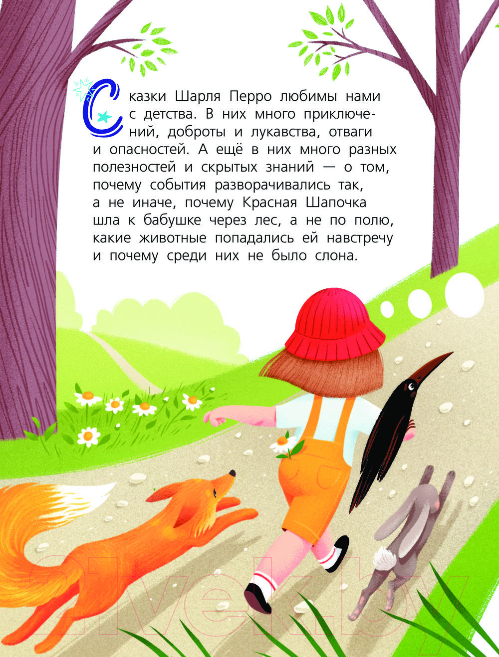Художественная книга АСТ Красная Шапочка и тайны леса / 9785171336882 (Мультановская Д.В.) — фото 2