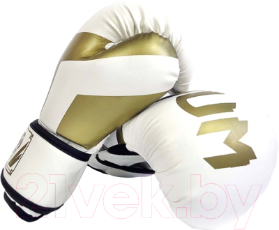 Боксерские перчатки Sundays TBD0543662901C (белый)