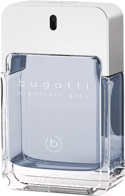 Туалетная вода Bugatti Signature Grey (100мл)