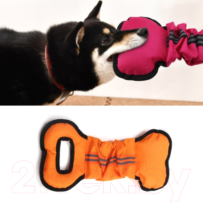 Игрушка для собак Pet Paws TBD0603483301C (оранжевый)