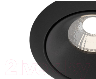 Точечный светильник Maytoni Zoom DL031-2-L12B