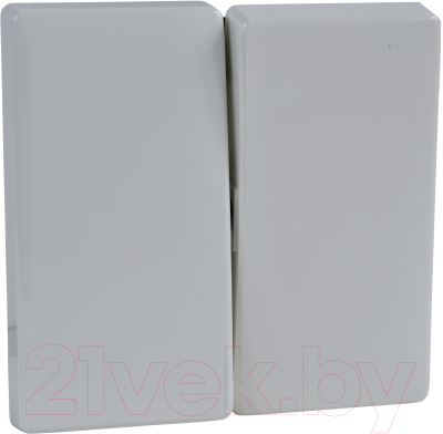 

Клавиша для выключателя Schneider Electric, Merten MTN412519