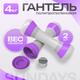 Набор гантелей Sundays Fitness TBD0587906905 - 