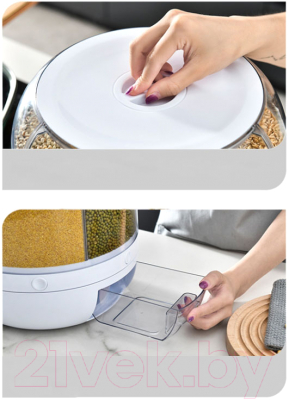 Изображение товара Емкость для хранения Sundays Home TBD0602273201A