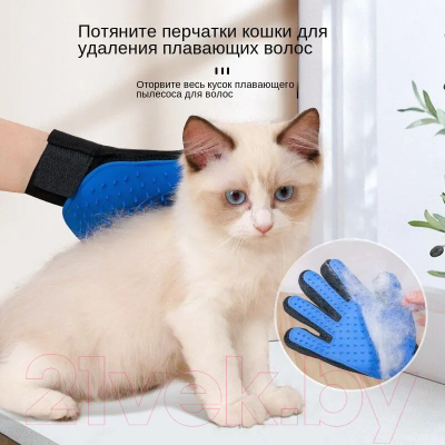 Массажная перчатка Pet Paws EDA005508401 (черный/синий)