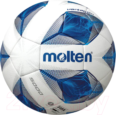 Футбольный мяч Molten F5A5000