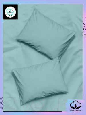 Комплект постельного белья Uniqcute Аквамарин Евро / 299952