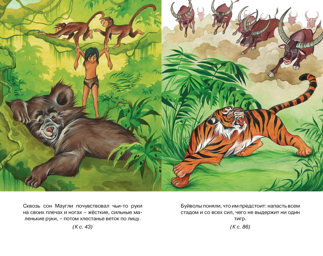 Художественная книга Махаон Маугли, твердая обложка (Киплинг Редьярд) — фото 2