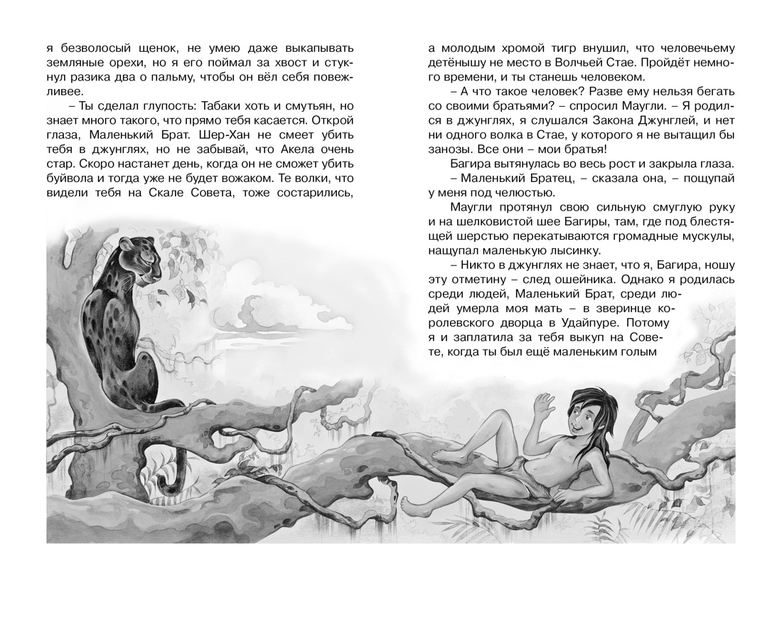 Художественная книга Махаон Маугли, твердая обложка (Киплинг Редьярд) — фото 6