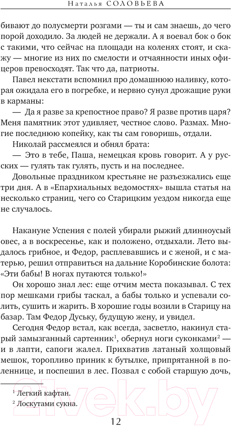 Художественная книга Эксмо На берегу Тьмы / 9785041963910 (Соловьева Н.В.) — фото 5