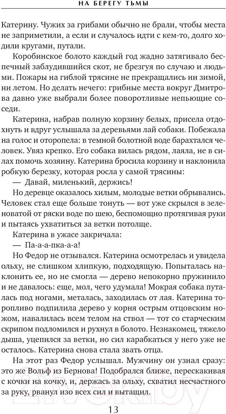 Художественная книга Эксмо На берегу Тьмы / 9785041963910 (Соловьева Н.В.) — фото 6