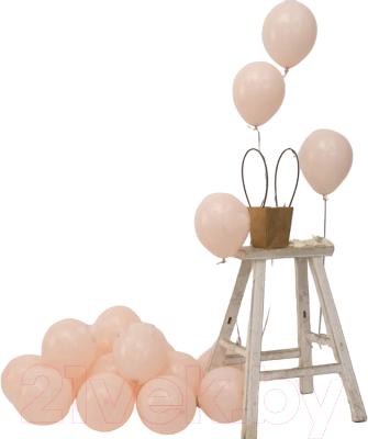 Набор воздушных шаров Sundays Party TP10310322085A (100шт, миндальный)